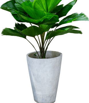 pot4